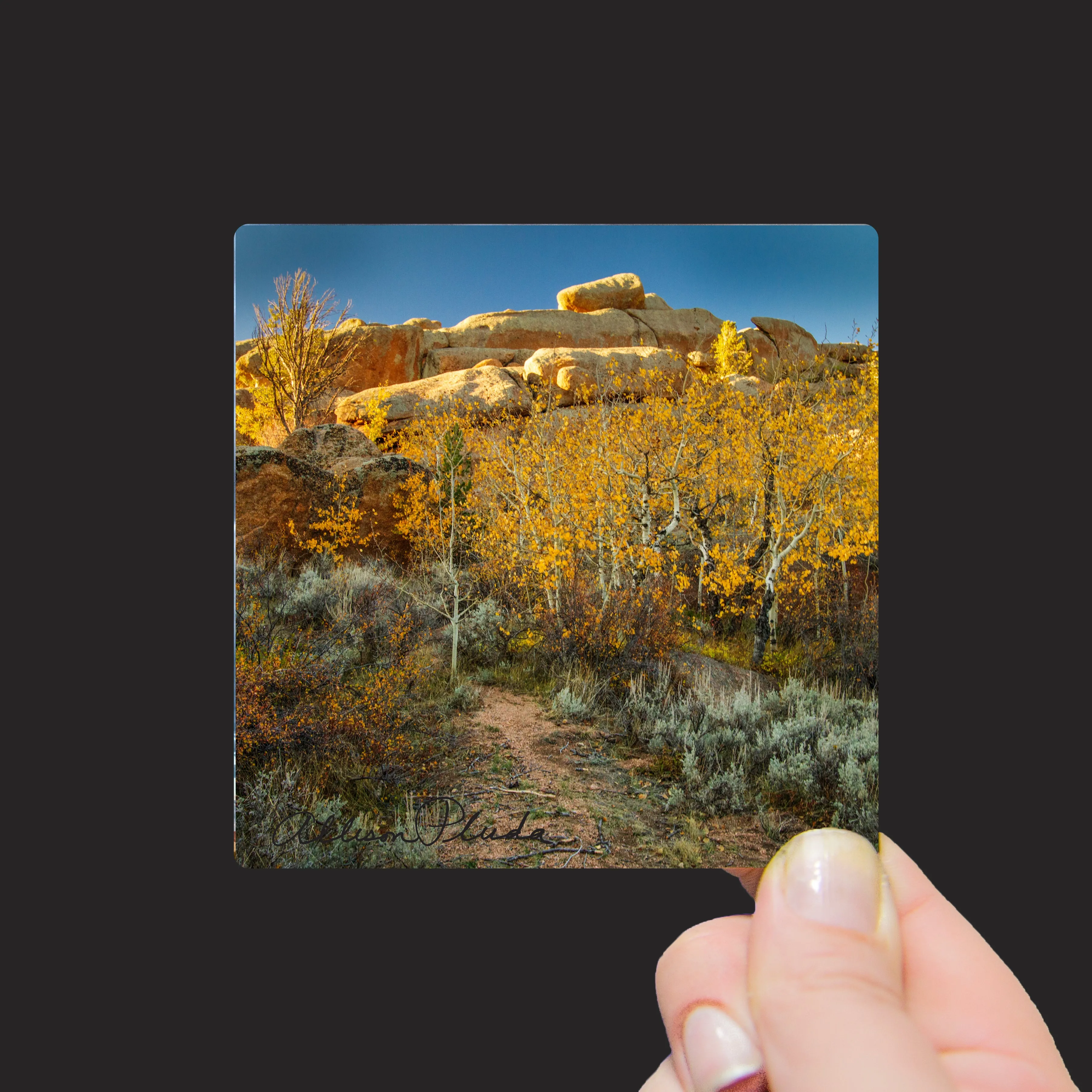 "Fall Vedauwoo Landscape at Blair Wallis, Medicine Bow National Forest, Wyoming" Mini Metal Print